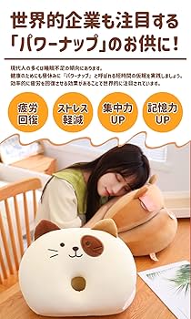 Amazon.co.jp: 2ndUp うつ伏せ寝枕 骨盤矯正 円座 美尻 正座 痔